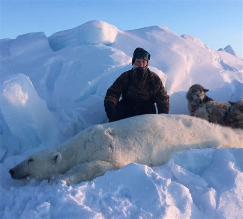 Canadian Arctic Polar Bear Hunt - Ameri-Cana Expeditions