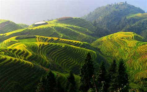 Longji rice terraces, China beautiful countryside wallpaper | nature and landscape | Wallpaper ...