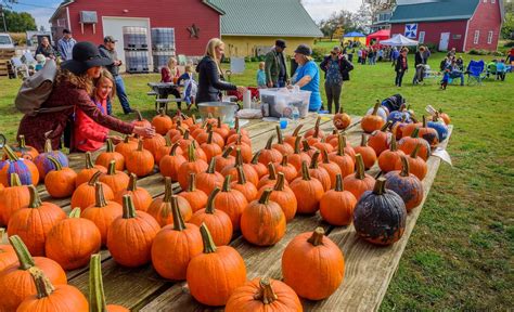 Harvest Festivals | Travel South Dakota