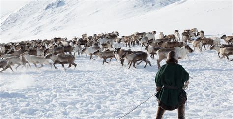 Arctic Food: Window to the Past, Key to the Future | Arctic Focus