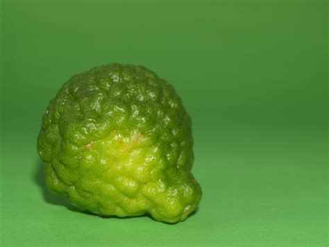 Bergamot Fruit Free Stock Photo - Public Domain Pictures