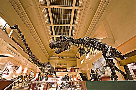 Smithsonian Insider – $35-million donation will build new dinosaur hall at National Museum of ...