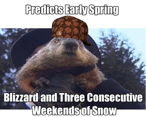 Funny Groundhog Day Memes You Can Laugh at No Matter the Forecast