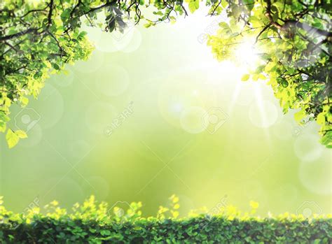 Natural Green Spring or Summer Season Abstract Nature Backgrounds for Powerpoint Templates - PPT ...