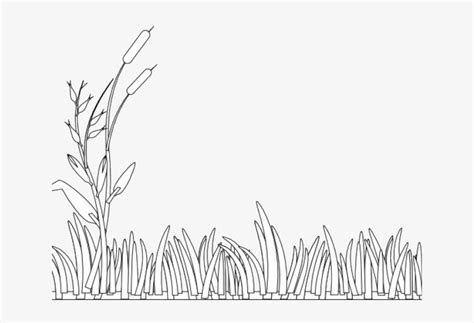 Swamp Clipart Grass Field - Clipart Grass Black And White Transparent ...