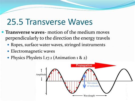 What Are Transverse Waves | Images and Photos finder