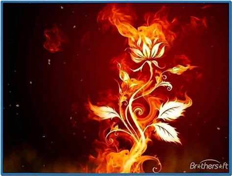 Fire Screensaver 1.0 - Download-Screensavers.biz