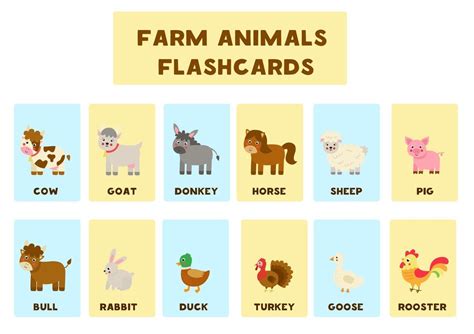 Baby Farm Animals Names