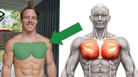 The Perfect Chest Workout in Only 20 Minutes (for Muscle and Mass) | BOXROX