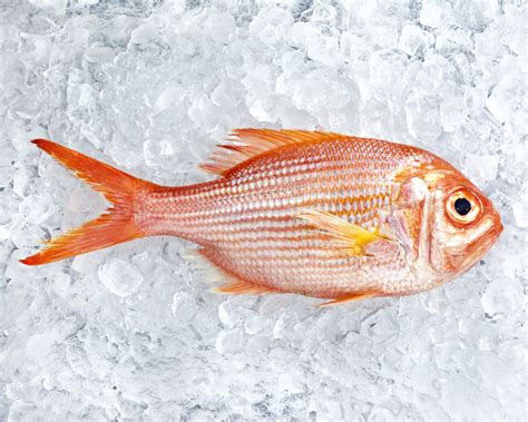 Fish Allergy: Symptoms, Diagnosis and Living Fish-Free