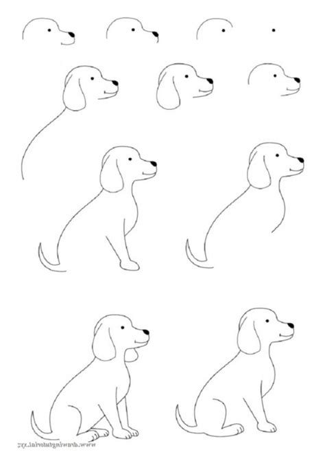 How To Draw Easy Animals (Step By Step Image Guides) - Bored Art | Easy animal drawings, Easy ...