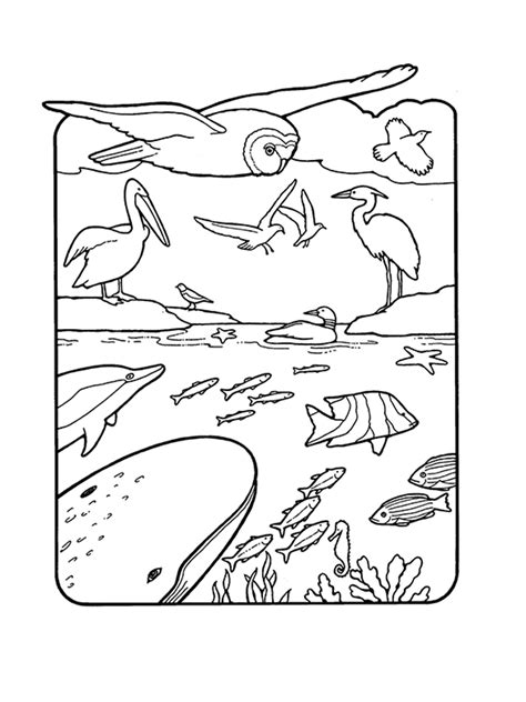 God Created Birds And Fish Coloring Page Sketch Coloring Page