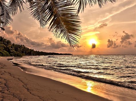 Sunset Pantai Wallpaper - Homecare24