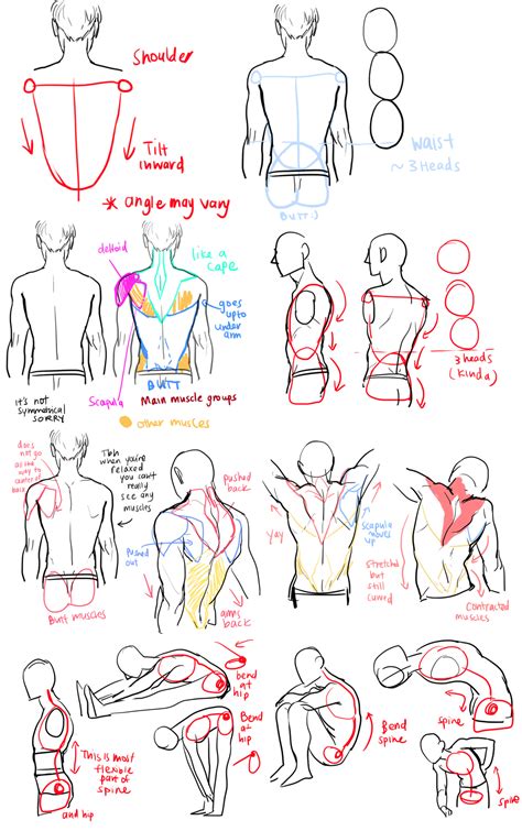 Back Tutorial Drawing viria.tumblr.com | Drawing tutorial, Figure ...