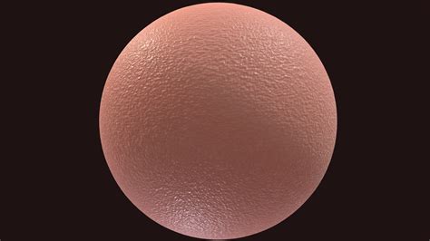 Skin Bump Setup - Download Free 3D model by Regulus.Fen-NSFW [e826ee3 ...