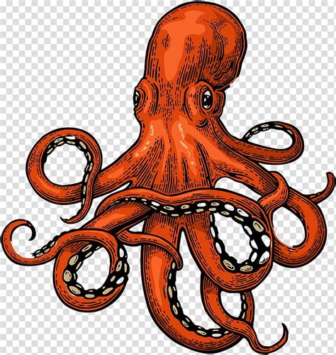 Octopus, Sea Monster, Drawing, Kraken, Gigantic Octopus, Tentacle, Giant Pacific Octopus ...