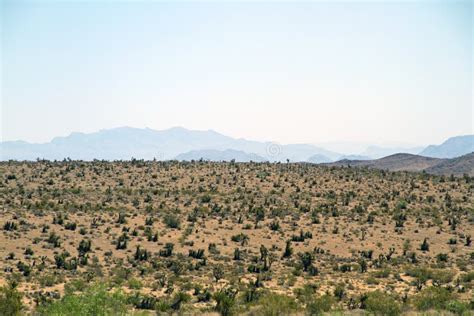 Ecosystem, Shrubland, Wilderness, Sky Picture. Image: 110551300