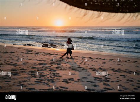 Horse riding in the beach at sunset with nice color and some nice horse ...