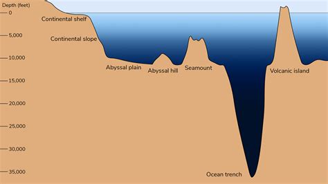 Deep Ocean Trench Diagram