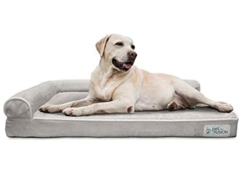 The 10 Best Waterproof Dog Beds for Accidents to Outdoor Adventures