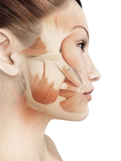 SMAS and Your Facelift - Visage Cosmetic Plastic Surgery