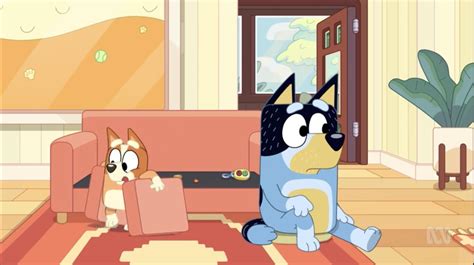 Episode Chat - S03C E01 - "Cubby" : r/bluey