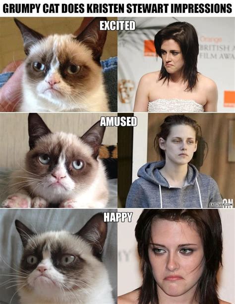 On the dime. | Grumpy cat, Grumpy cat movie, Memes funny faces