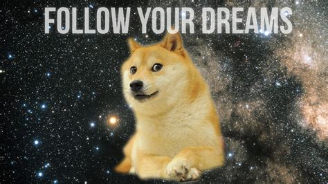 🔥 [50+] Doge Wallpapers 1920x1080 | WallpaperSafari