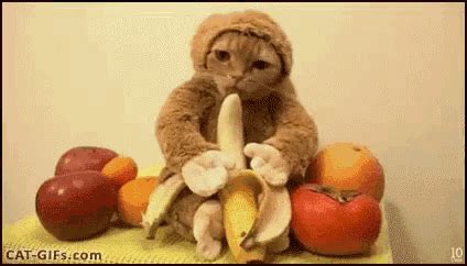 Banana Eating Banana GIF - Banana EatingBanana - Discover & Share GIFs