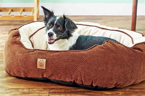 9 of the Best Chew-Proof Dog Beds, According to Reviewers and Pet Owners | Daily Paws