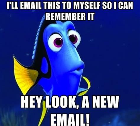 after watching finding dory meme - - Yahoo Image Search Results | Single humor, Funny ...