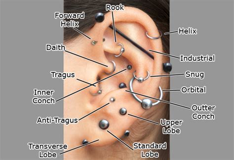 How to Care for a Helix or Forward Helix Piercing - TatRing