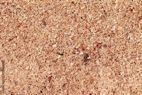 Sawdust or wood dust texture background. Wood sawdust background closeup. Sawdust floor texture ...