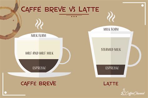 Caffè Breve vs Latte: What's the Difference? | Coffee Affection