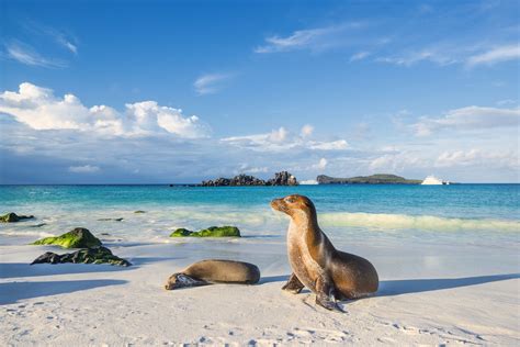 8 Must-Visit Islands in the Galapagos