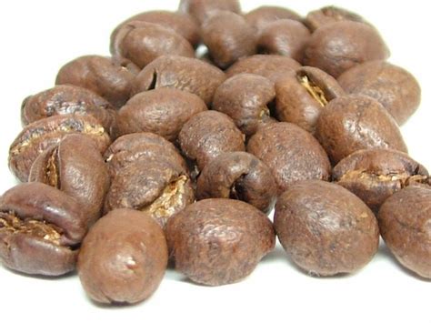 All About Coffee Beans - Alliance Coffee Singapore