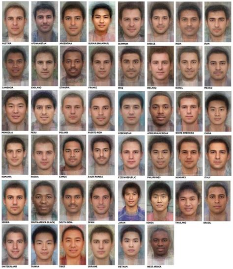 Average male faces from around the World | Male face, Average face, Face