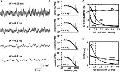 Dependence of synaptic input in NL on the synaptic time scale. (A ...