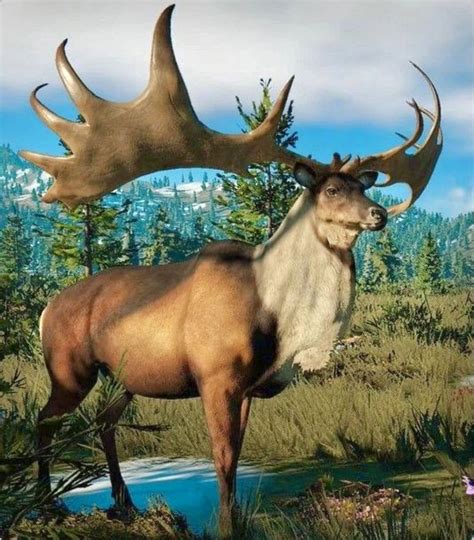 The extinct Irish elk (Megaloceros giganteus) ranged across Eurasia from Ireland to China during ...