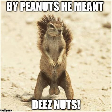 DEEZ NUTS - Imgflip