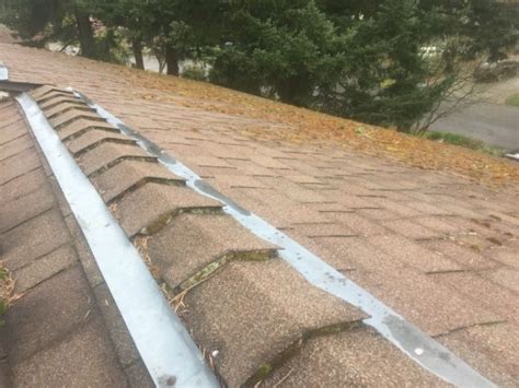 Do Zinc Strips work to prevent moss growth on you roof?