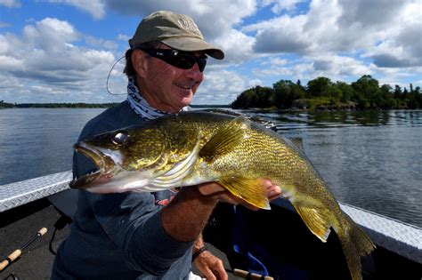 How to pick the best swimbait jig for big walleye • Outdoor Canada