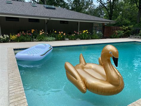 Gold Swan Pool Float by FUNBOY - Funboy