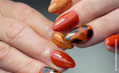 Fall Nail Designs 2024 Simple - Lexi Shayne