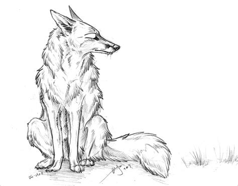 Swift Fox Drawing at GetDrawings | Free download