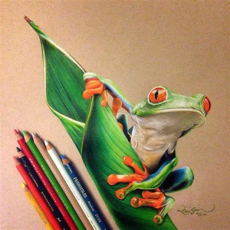 Realistic Frog Drawing at GetDrawings | Free download