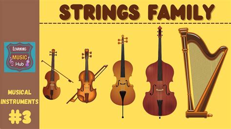 STRINGS FAMILY | INSTRUMENTS OF THE ORCHESTRA | LESSON #3 | LEARNING MUSIC HUB | ORCHESTRA - YouTube