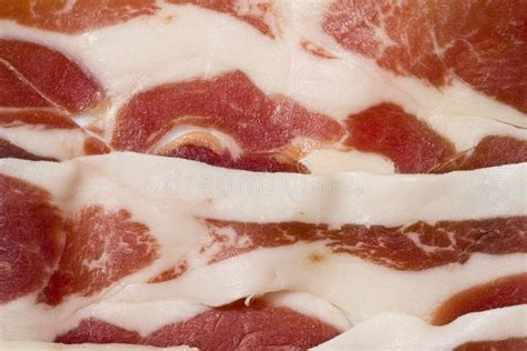 Ham slices stock photo. Image of study, mishap, white - 7258040