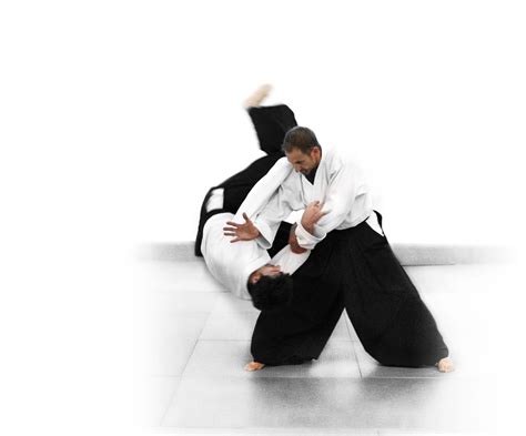 Aikido HD Wallpapers - Wallpaper Cave