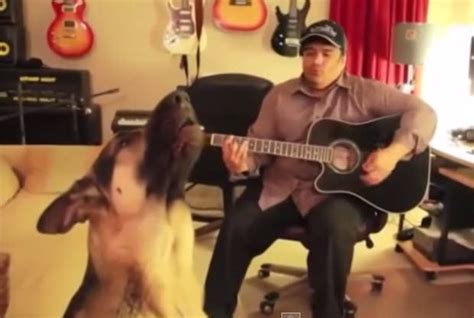 Funny Singing Dogs - LIFE WITH DOGS